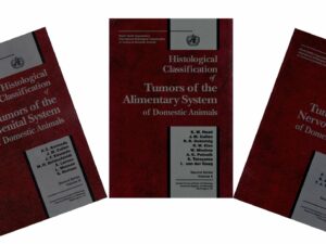 World Health Organization Tumor Fascicles