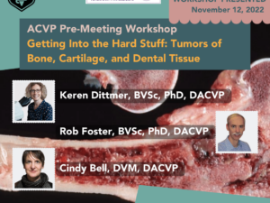 ACVP Preworkshop 2022 - Tumors of Bone, Cartilage, and Dental Tissue