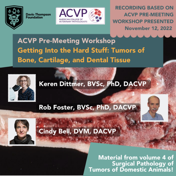ACVP Preworkshop 2022 - Tumors of Bone, Cartilage, and Dental Tissue